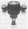 BORG & BECK BBJ5571 Ball Joint